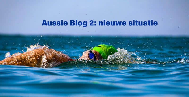 Aussie blog 2: de nieuwe trainingssituatie van Lars - Lars zijn ultieme droom is om zich te kwalificeren op de Olympische Spelen van Parijs 2024 voor de olympische 10 km.